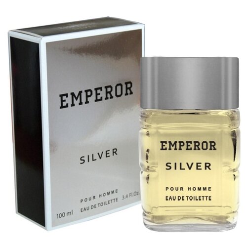 Today Parfum парфюмерная вода Emperor Siver, 100 мл, 265 г туалетная вода мужская emperor siver 100 мл