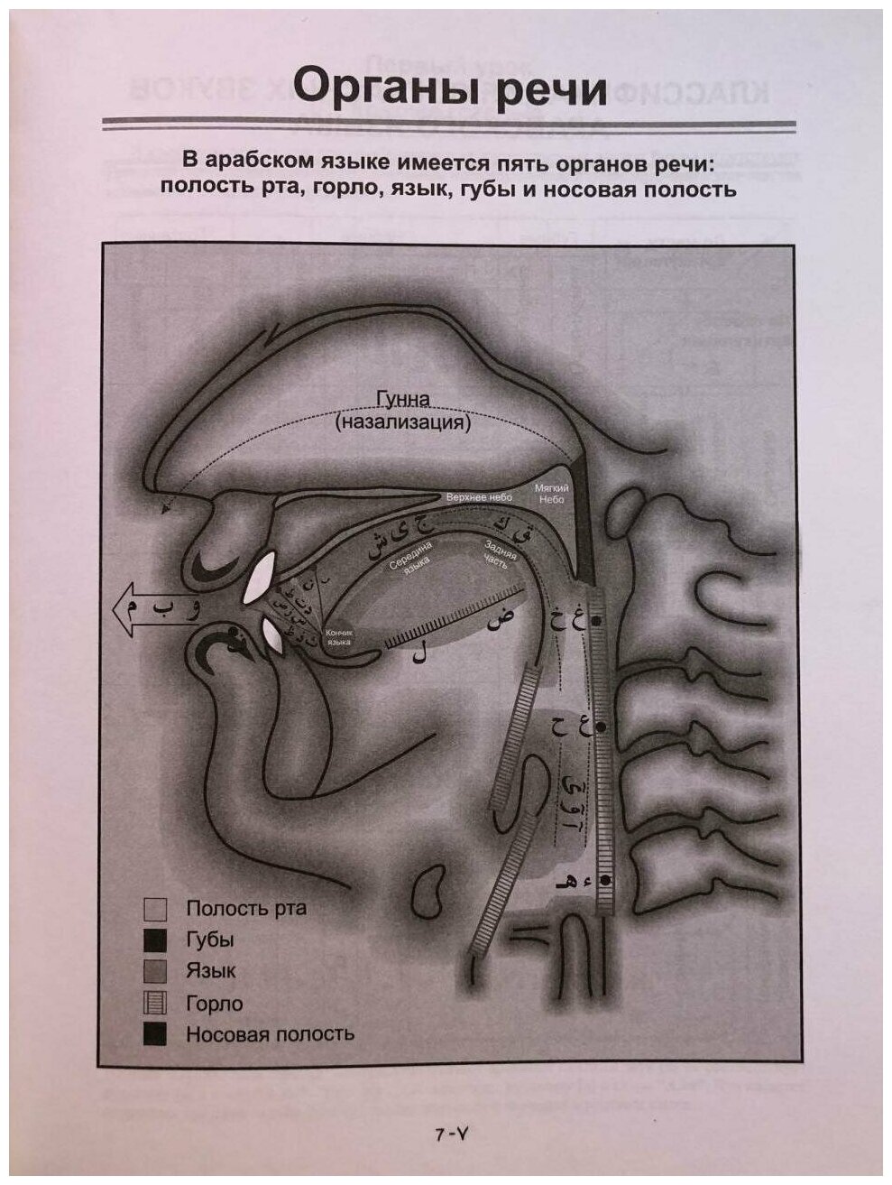 Азхария. Учебное пособие по изучению арабского языка - фото №5
