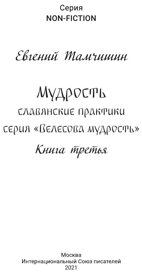 Мудрость: славянские практики (Тамчишин Евгений Евгеньевич) - фото №4