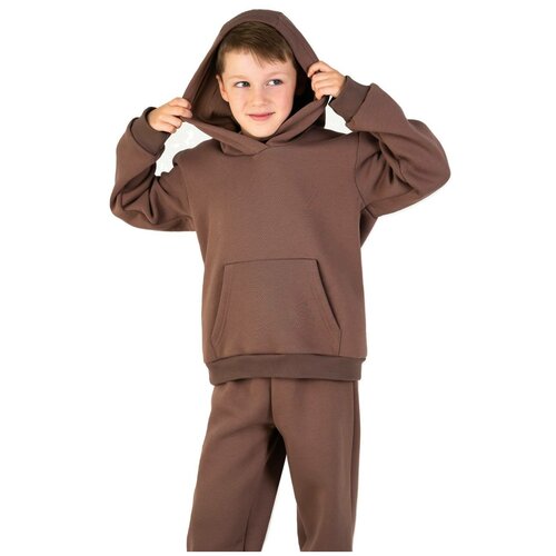 Спортивный костюм для мальчика теплый с начесом из футера (толстовка, штаны) Темно-коричневый 128-134 размер