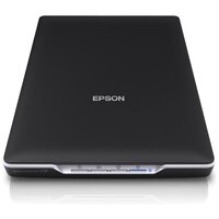 Сканер Epson Perfection V19