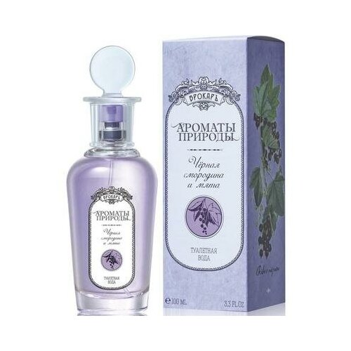 Туалетная вода Ароматы природы. Чёрная смородина и мята, 100 мл Brocard Parfums 4682988 4404 brocard parfums туалетная вода женская кафе гурмэ мадлен 50 мл