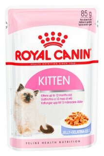 Влажный корм для котят от 4 до 12 месяцев Royal Canin в желе влажный, 0,085 кг