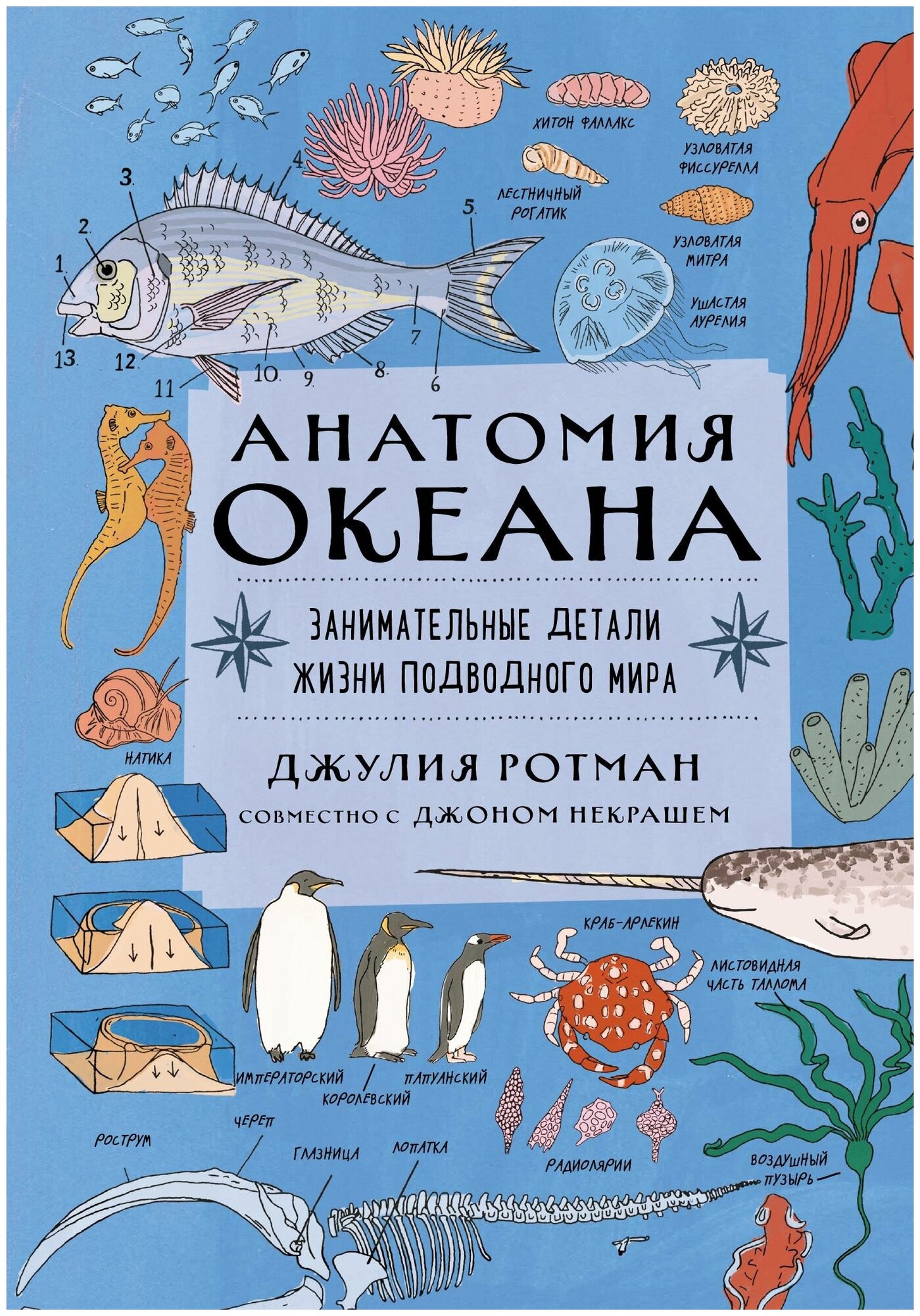 Травина И. В. Анатомия океана. Занимательные детали жизни подводного мира. Non-fiction. Дети (7-10 лет)