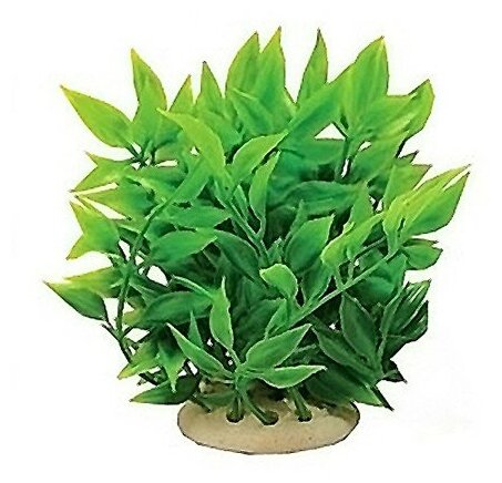 Растение Тритон пластмассовое 12 см Y12108148 куст