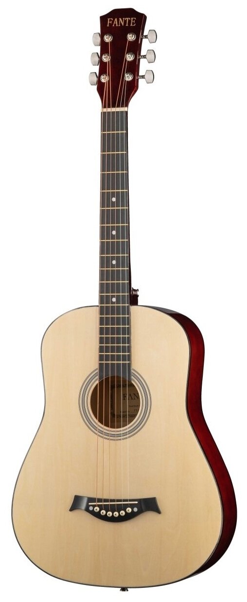 Fante FT-R38B-N Акустическая гитара