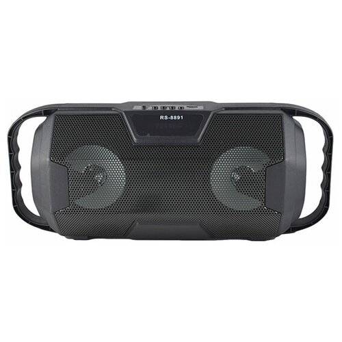 Беспроводная колонка RS-8891 черный 198500₽