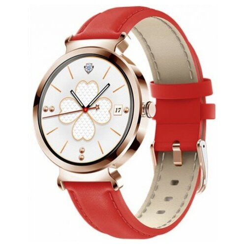 BandRate Smart BRSDT1GR 920000₽