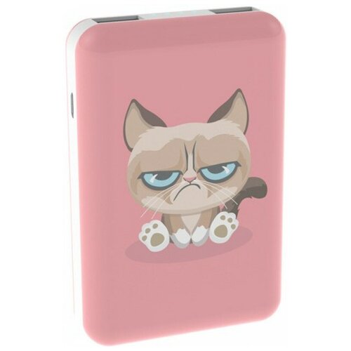 882143 Внешний аккумулятор Ritmix Power Bank RPB-10007 10000mAh Grumpy Cat 99000₽