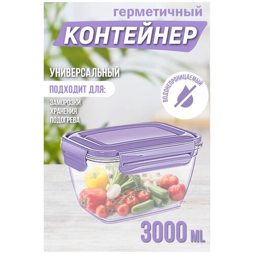 Воздухонепроницаемый прямоугольный контейнер 3000мл DDstyle / Пищевой контейнер / Контейнер для продуктов / 23 х 17,2 х 13 см