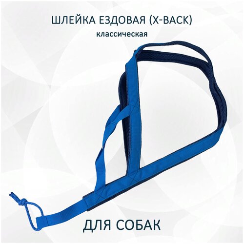 Шлейка ездовая X-Back, классическая синяя XS