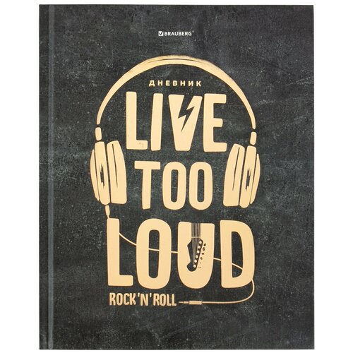 Дневник 5-11 класс 48 л., твердый, , фольга, с подсказом, 