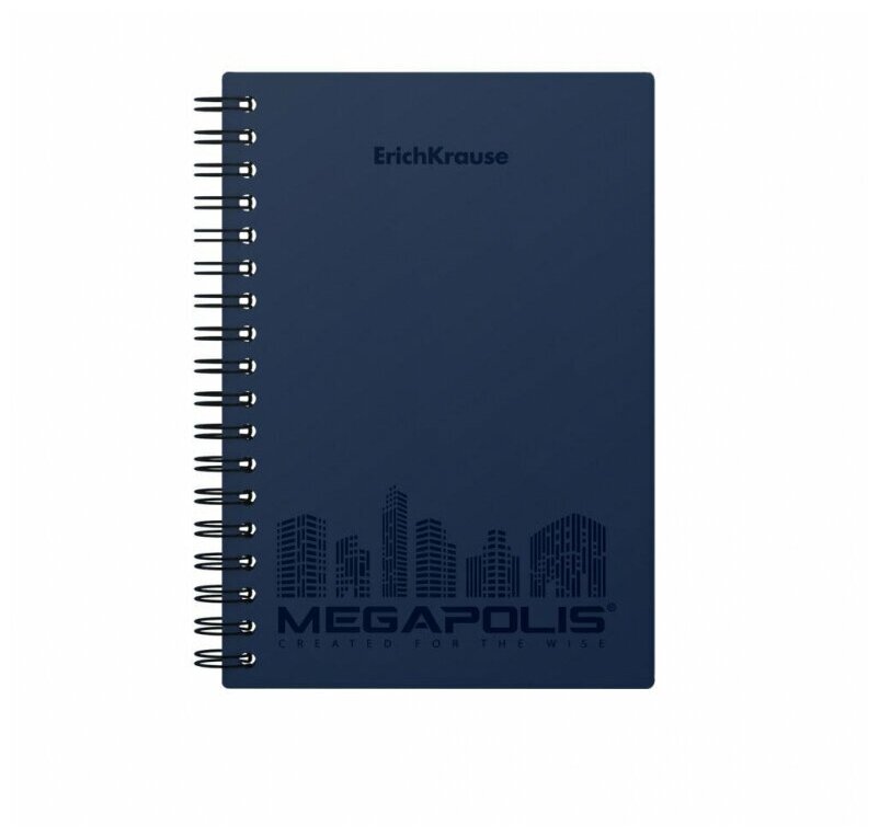 Записная книжка А6 Erich Krause "Megapolis", 80 листов, клетка, пластиковая обложка (45945)