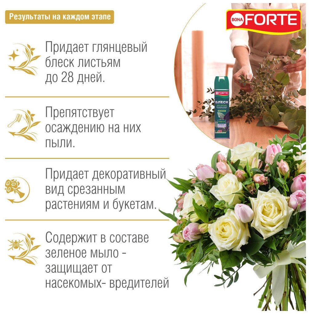 Удобрение BONA FORTE блеск для листьев, 0.3 л, 0.292 кг, 1 уп.