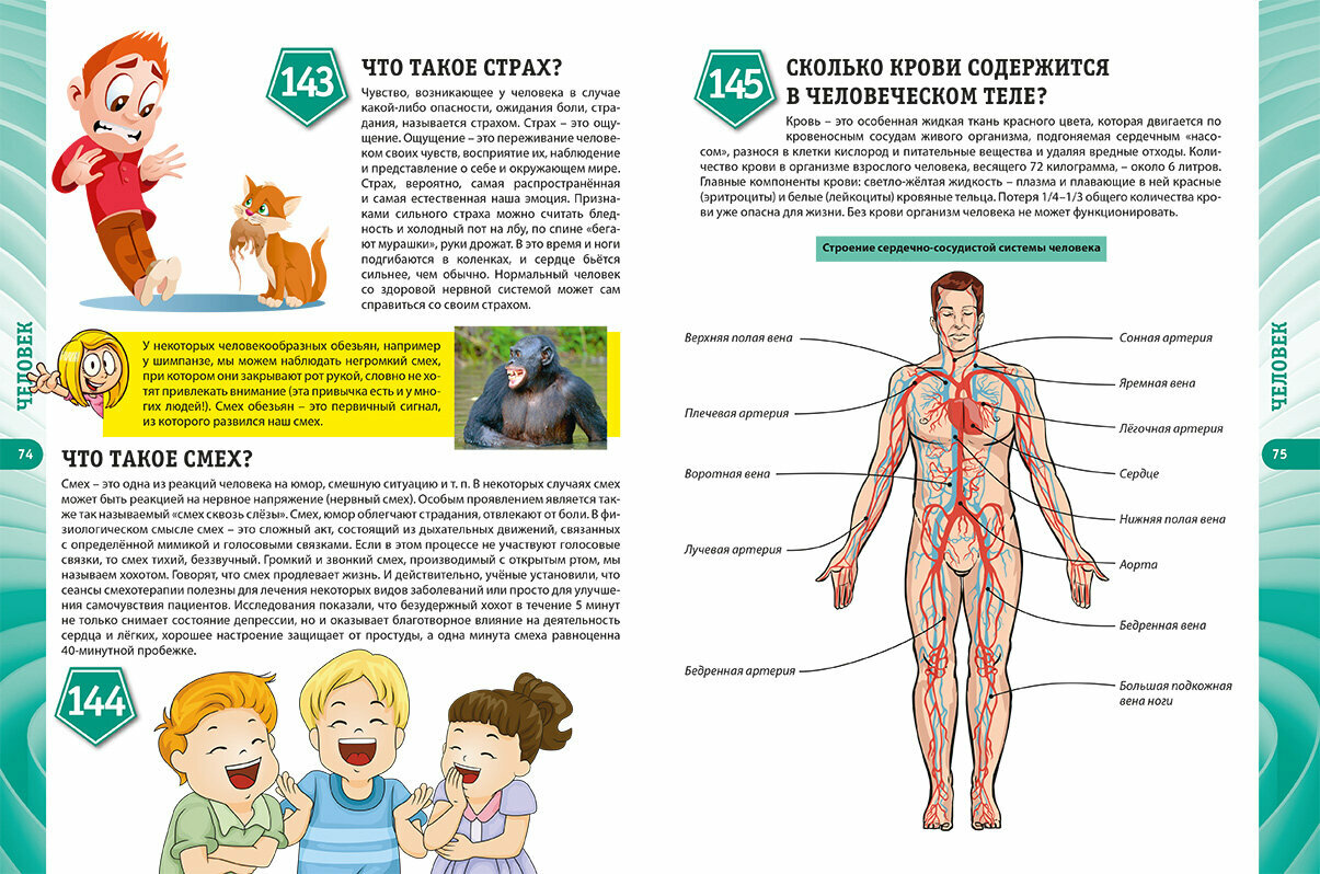 Современная энциклопедия для детей. Что? Как? Почему? Зачем? - фото №14