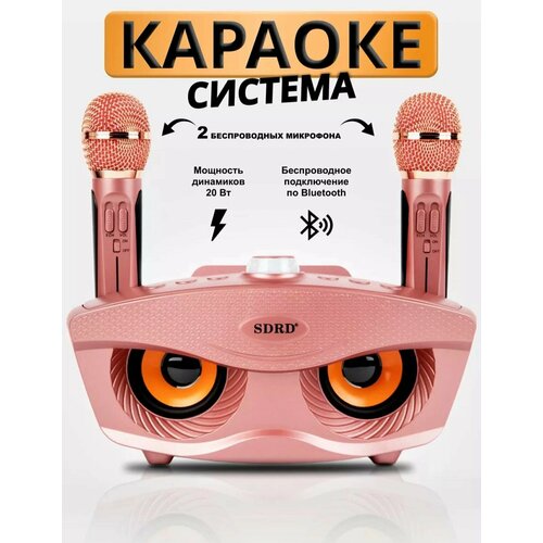 Караоке-система SDRD с двумя микрофонами для дома, розовая беспроводная караоке система колонка fodar sdrd sd 306 plus