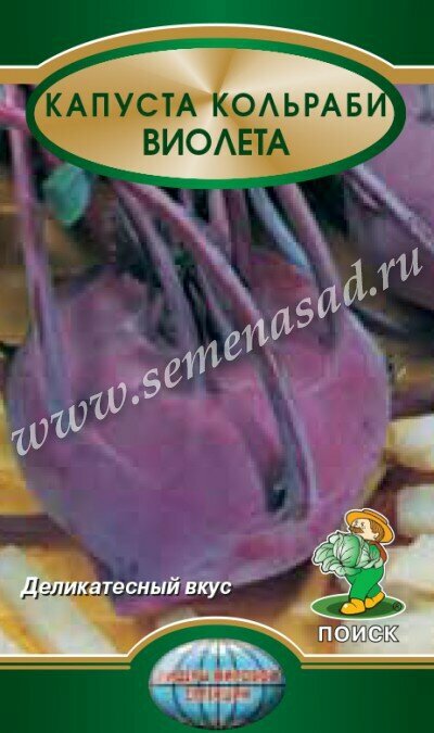Капуста кольраби Виолетта 05гр. (Поиск)