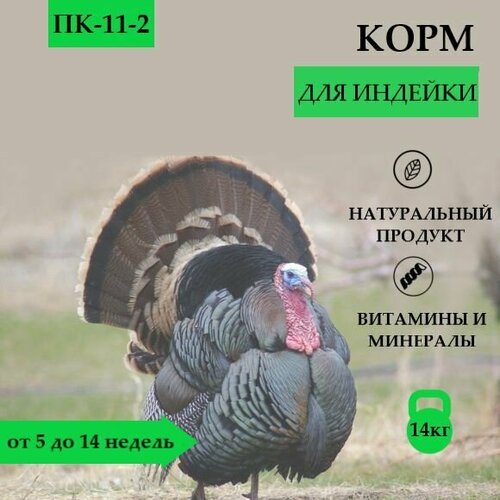 Комбикорм ПК-11-2 для индейки от 5 до 14 недель, РОСТ