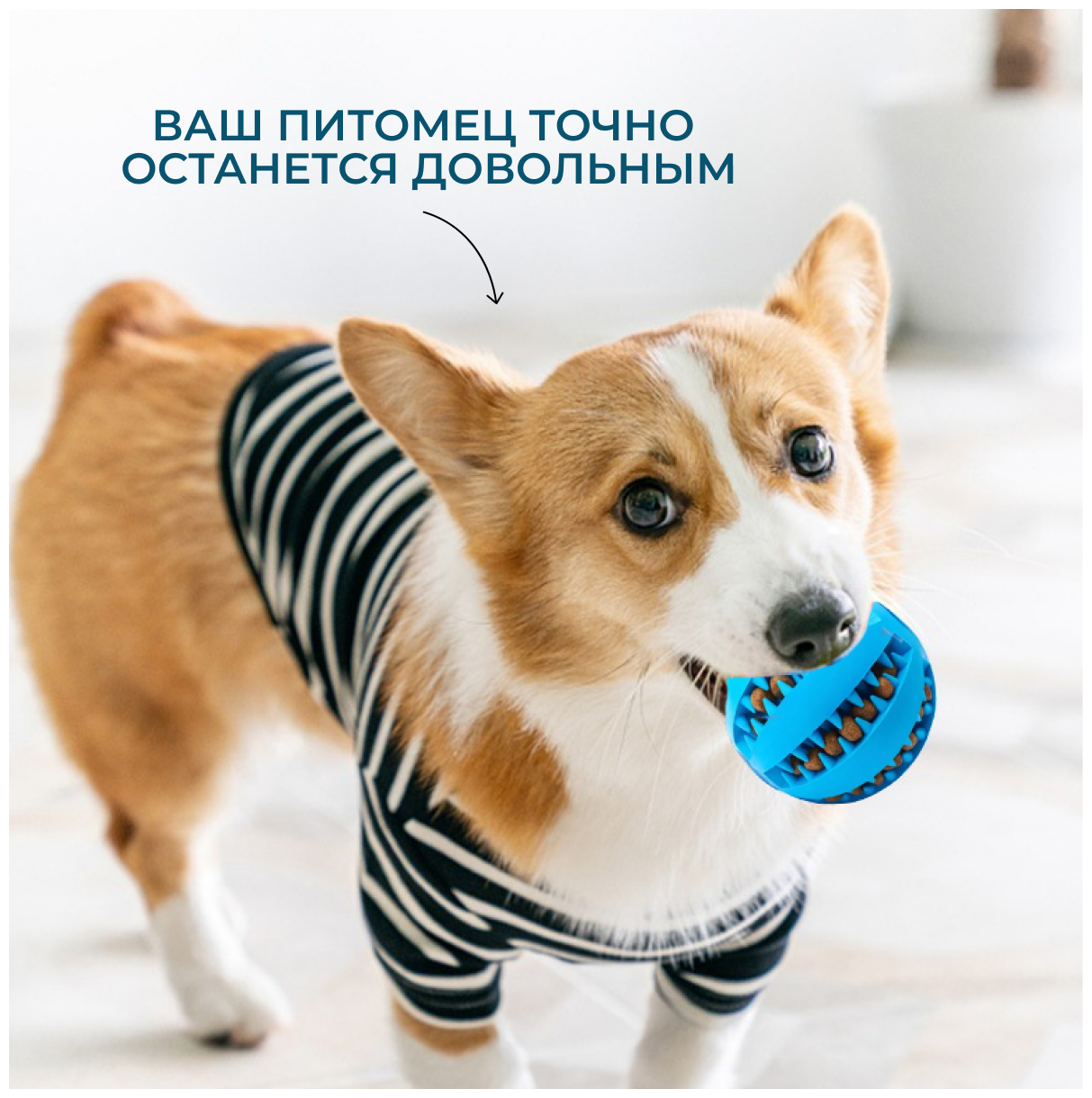Мяч для дрессировки собак, Мяч для собак, жевательная игрушка мяч для собак, грызунок для собак, грызак для собак, 7 см, синий, Universal-Sale