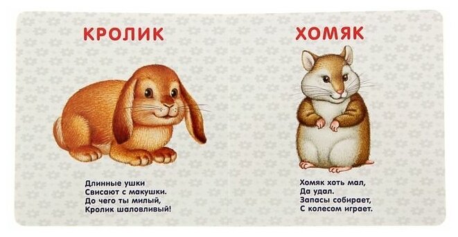 Домашние животные. Стихи и картинки - фото №6