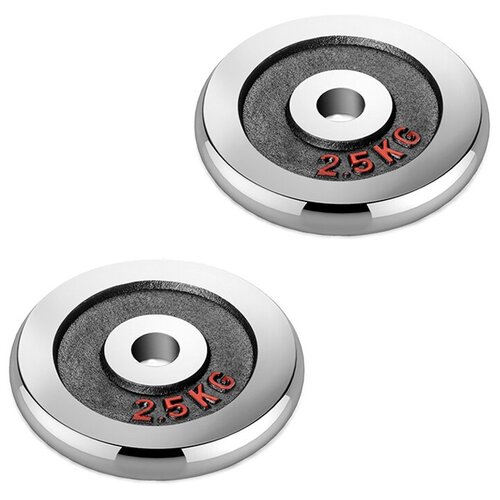 Набор хромированных дисков Voitto 2,5 кг (2 шт) - d26 набор хромированных дисков voitto 5 кг 2 шт d26