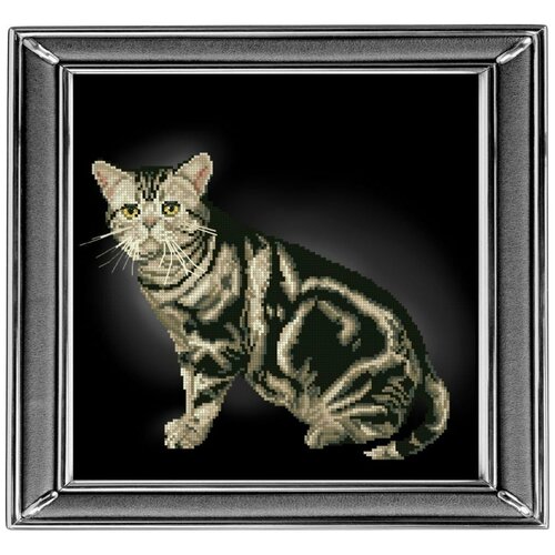 Набор для вышивания мулине краса И творчество арт.20912 Американская короткошерстная кошка 28х28 см