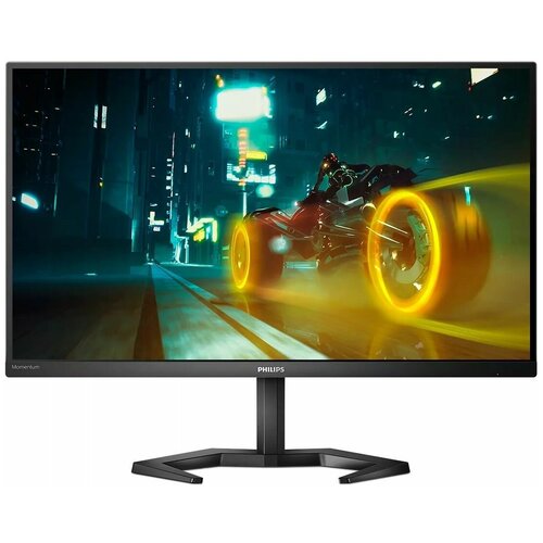 Монитор Philips 27 Black 4289000₽