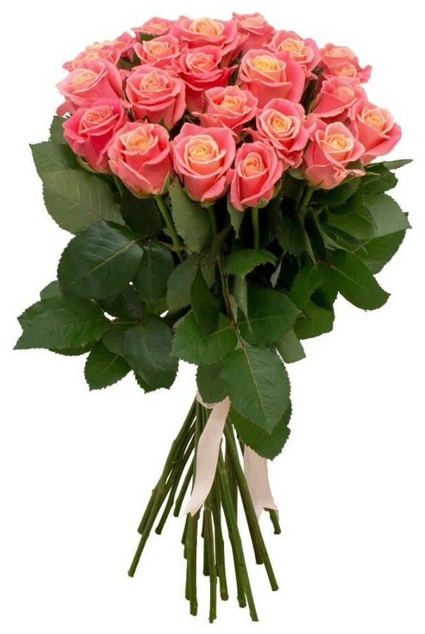 Розы 25 шт 50 см Мисс Пигги - Просто роза ру