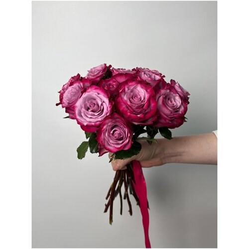 Роза Кения фиолетовая 13 шт 40 см