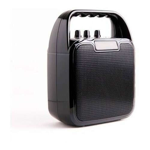 Караоке-система ATOM KS-1100 10Вт АКБ 2400мАч BT до12м USB microSD AUX беспрмикроф 229400₽