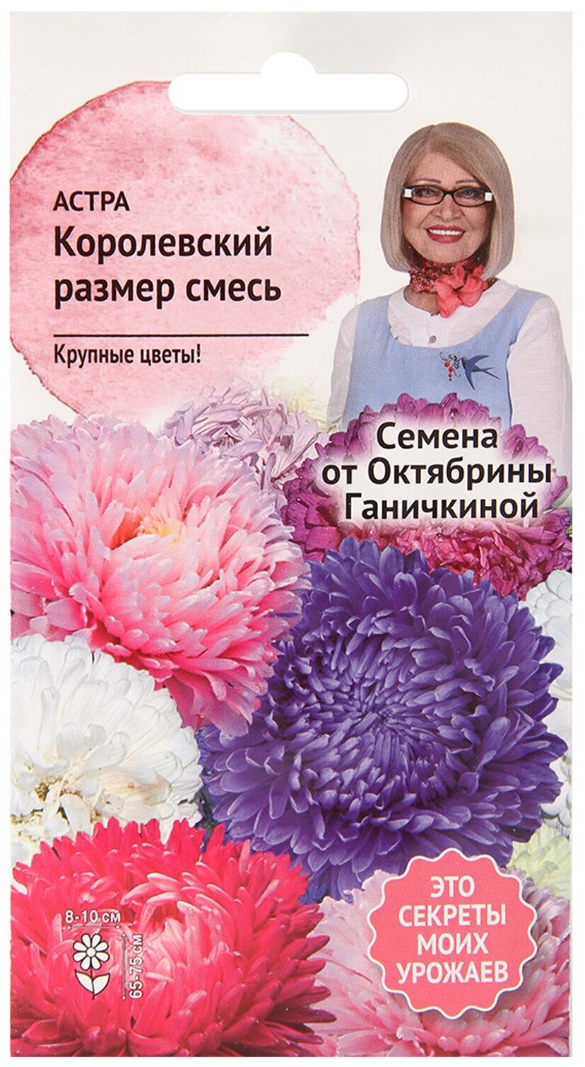 Астра Королевский размер смесь 0,3 г / семена однолетних цветов для сада / однолетние цветы для балкона в грунт / для сада дачи дома /