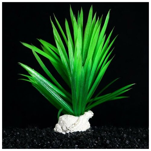 Растение аквариумное Пижон Аква искусственное, на подставке, с ракушкой, 7х4,5х13,5 см, зеленое