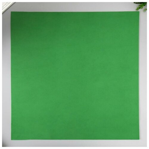 Набор фоамирана 50х50 см (10 листов) 2 мм цв. тёмно-зелёный