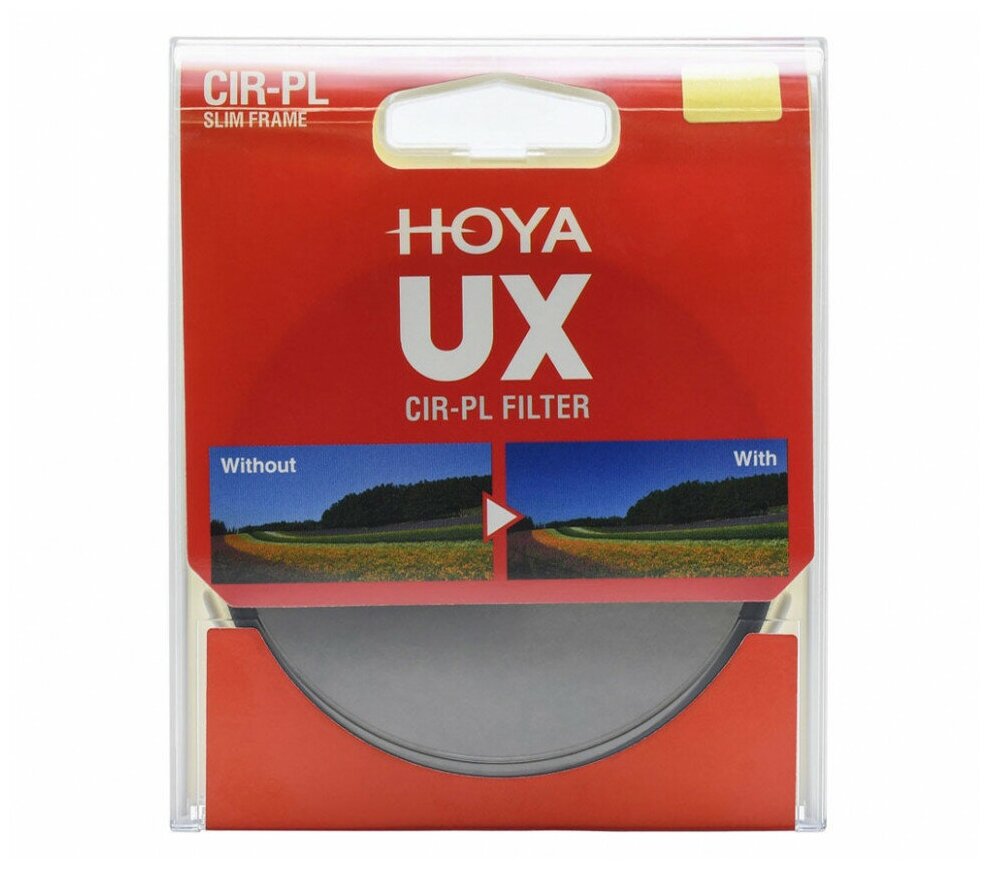 Hoya - фото №6