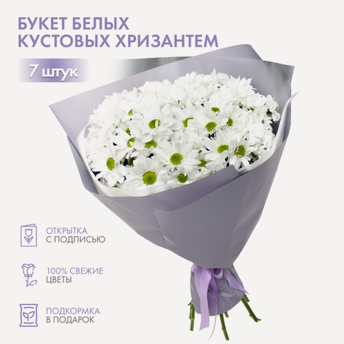 Изображение товара Цветы с доставкой, Букет цветов из Белых Кустовых хризантем 7 шт