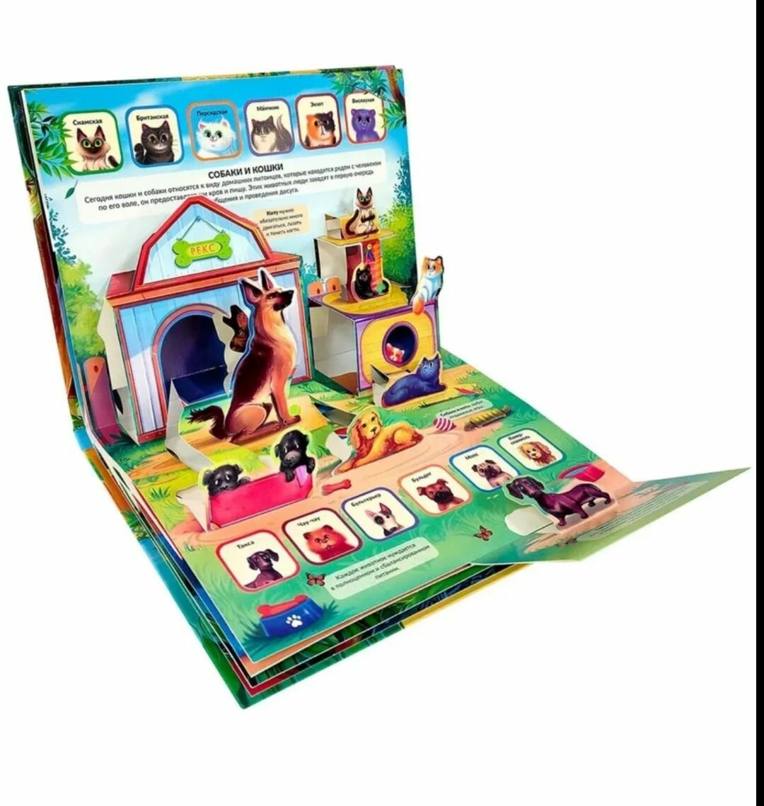 Энциклопедия с объемными элементами POP UP Ферма — фото 1