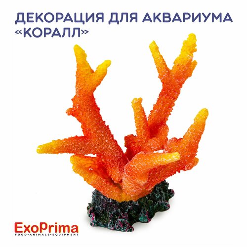 Декорация для аквариума EXOPRIMA "Коралл", оранжевая, 14х11х14.5см