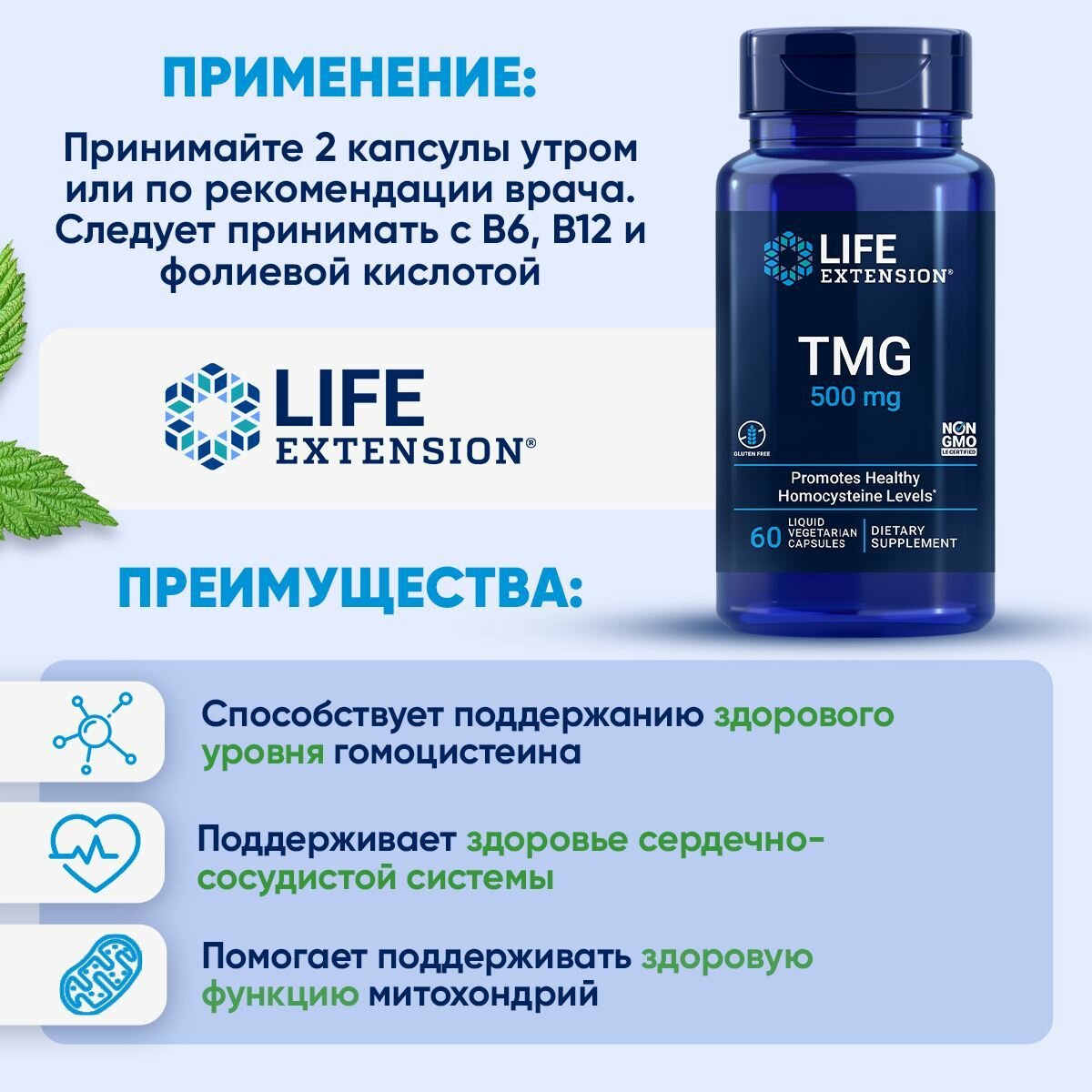 Картинки TMG (триметилглицин) 500 мг. Life Extension 60 капсул / Триметилглициновая добавка для поддержания здорового уровня гомоцистеина и здоровья сердца