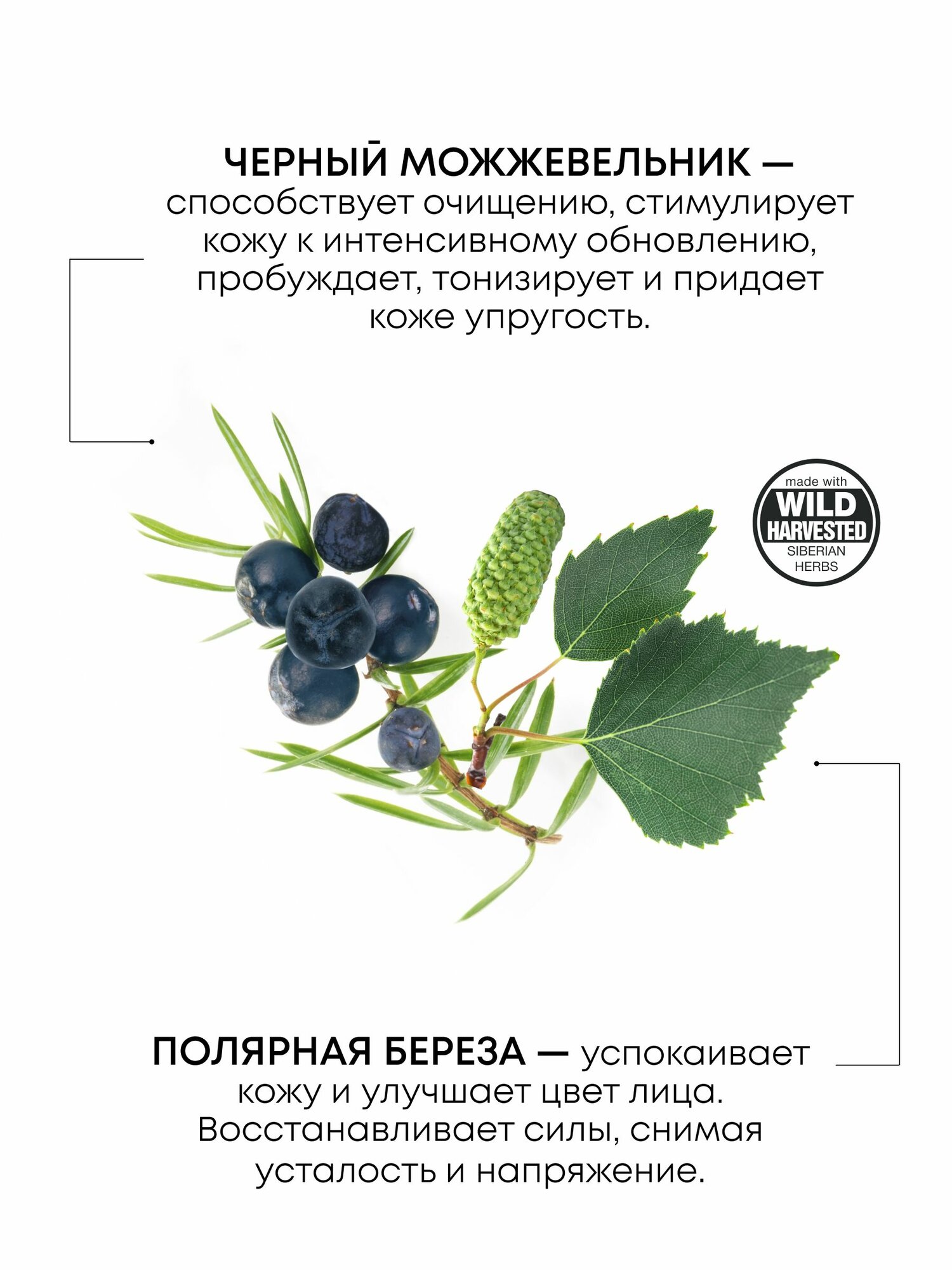 Natura Siberica Sauna & Sport Гель для душа мужской парфюмированный увлажняющий, пряный древесный аромат с ладаном, пачули и амброй 200 мл — фото 1
