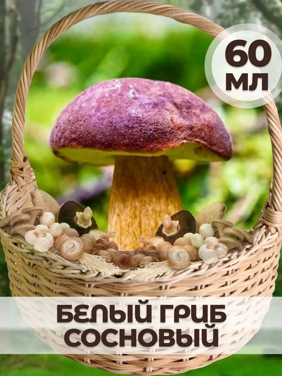 Мицелий гриба на торфе 