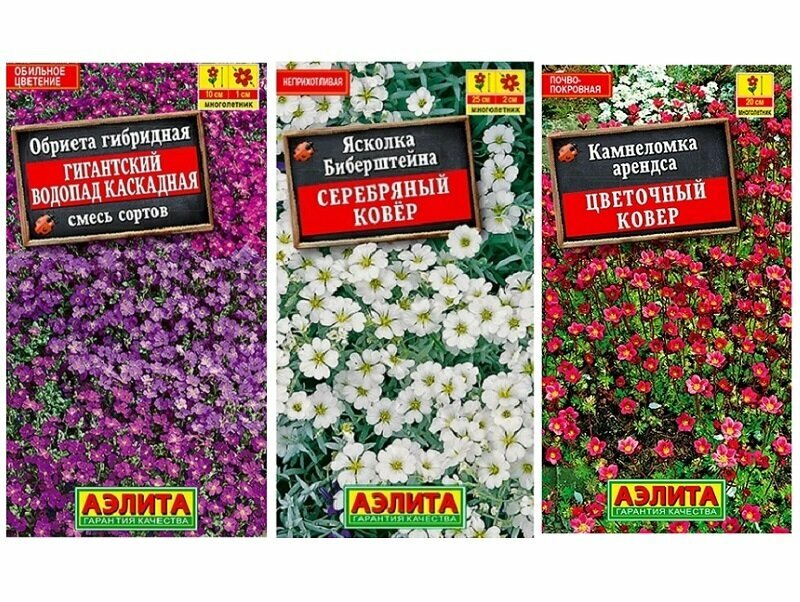 Набор семян многолетников Цветные Подушечки (Камнеломка Цветочный Ковер Ясколка Серебряный Ковер Обриета Гигантский Водопад)