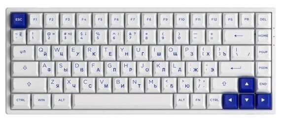 Клавиатура Akko 3084B RGB Plus Edition White-Blue 300672