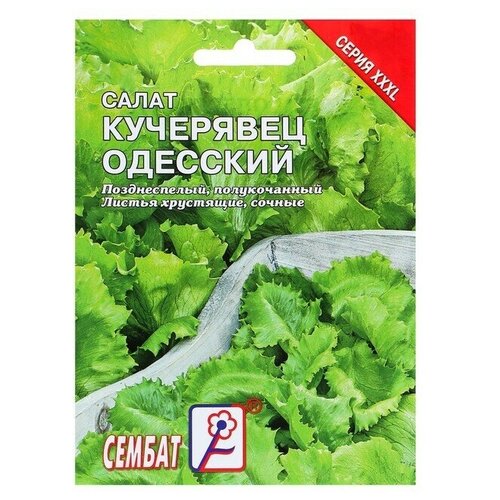 Семена ХХХL Салат Сембат, Кучерявец одесский, 10 г 3 упаковки