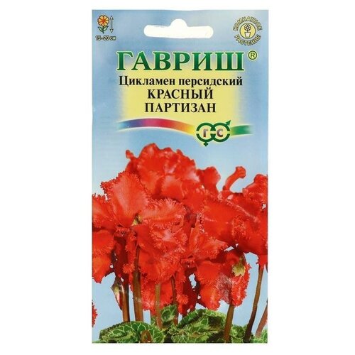 Семена цветов Гавриш Цикламен Красный партизан, персидский, 3 шт 2 упаковки семена цикламен махаон лиловая гамма 2 упаковки 2 подарка