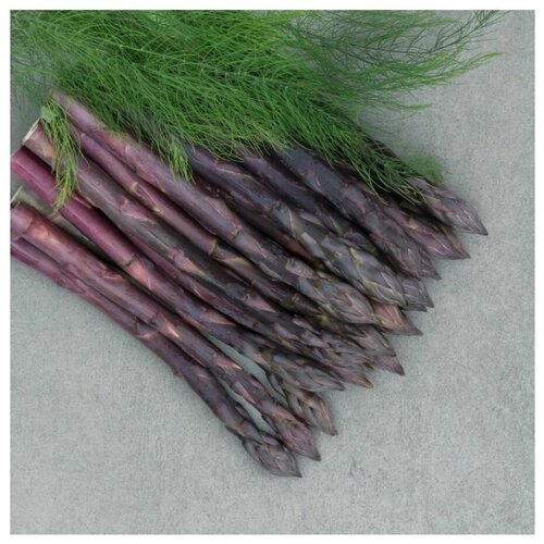 Семена Спаржа Фиолетовая Аспарагус Пикантный 3 шт.