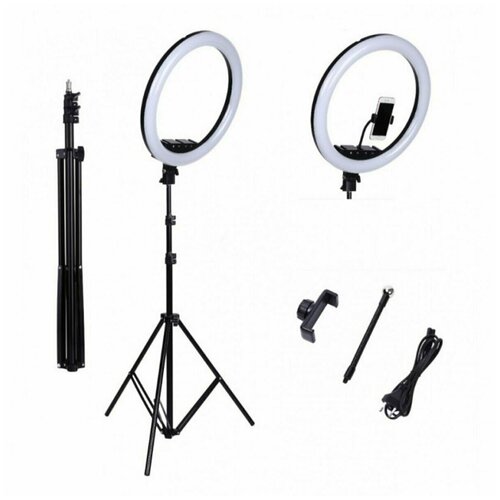 Кольцевая светодиодная лампа со штативом диаметр 30 см 211000₽