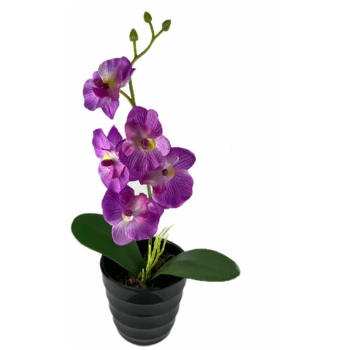 Искусственные цветы, искусственное растение, букет декоративный Орхидея с натуральным наполнителем, фиолетовая в черном кашпо, пластик, 35 см