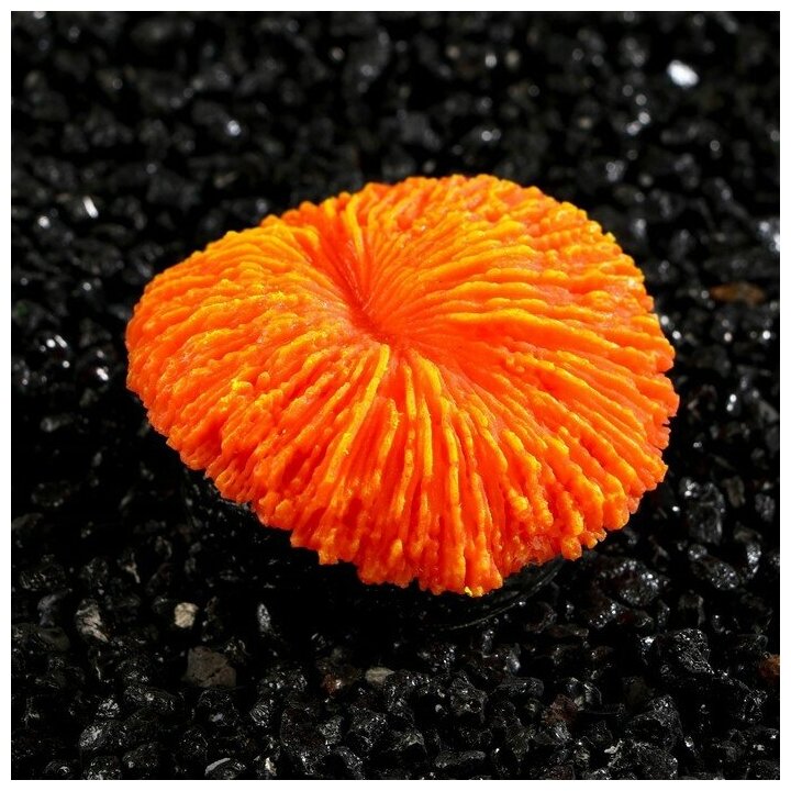 Декор для аквариума коралл "Пильчатый гриб", силиконовый, 5 х 2,5 см, оранжевый - фотография № 3