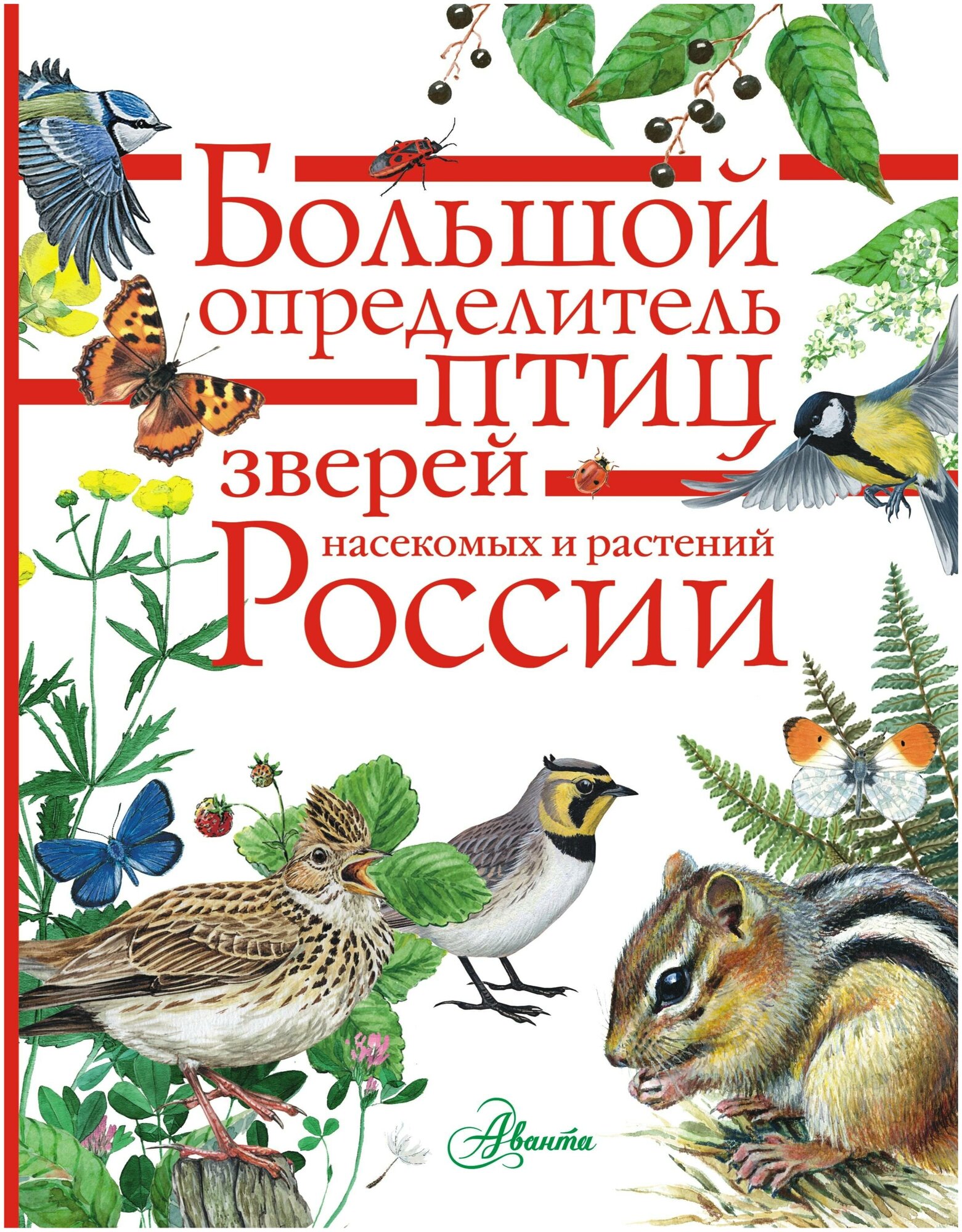 Большой определитель зверей, амфибий, рептилий, птиц, насекомых и растений Росси