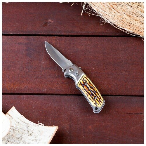 фото Нож складной теропром 453423 полуавтоматический "пескарь", клинок 6см, слон. кость